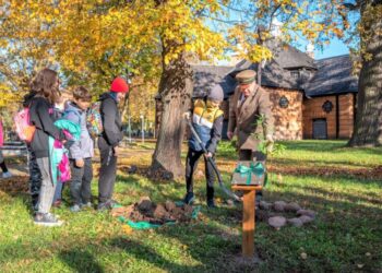 Zobaczyć, usłyszeć, powąchać, posmakować…