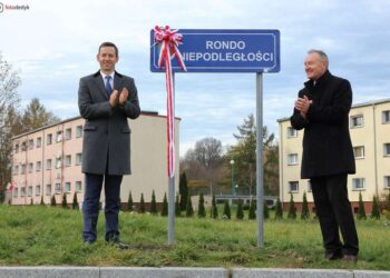 Dąb papieski i Rondo Niepodległości