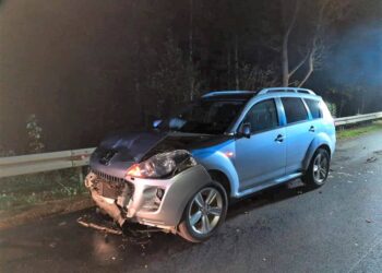 Mandat i 10 punktów karnych