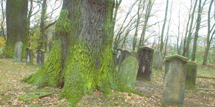 Cmentarz żydowski z kodem QR