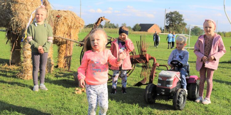 Rządziły ziemniak i ogórek