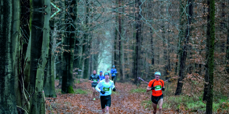 Mali mistrzowie i leśny cross