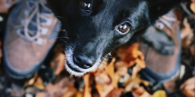 Nagrodzeni za trzecie oko