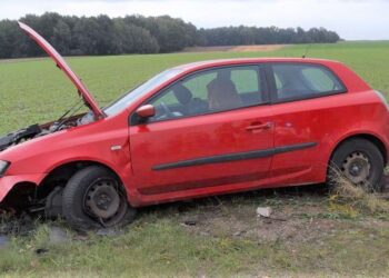 Pijany kierowca wylądował w rowie