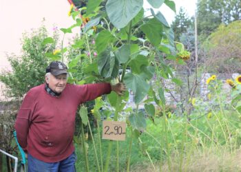 By nie rosły chwasty