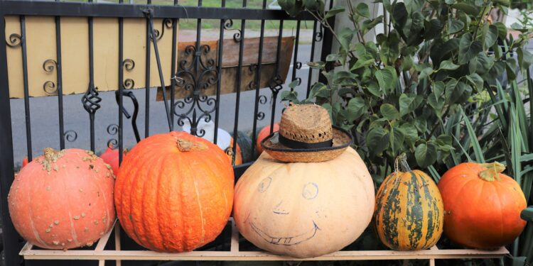 By nie rosły chwasty