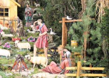 Największa i najpiękniejsza w okolicy