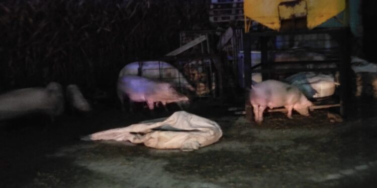 Całonocna walka z pożarem