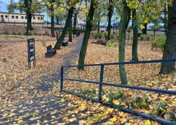 Zwłoki mężczyzny znalezione w małym parku
