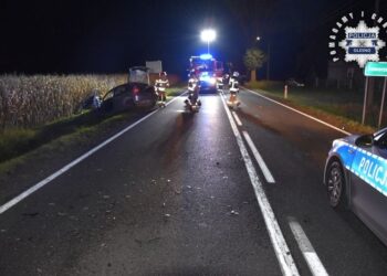 Był nietrzeźwy, stracił samochód, grozi mu deportacja