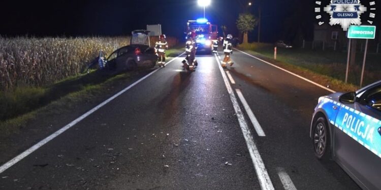 Był nietrzeźwy, stracił samochód, grozi mu deportacja