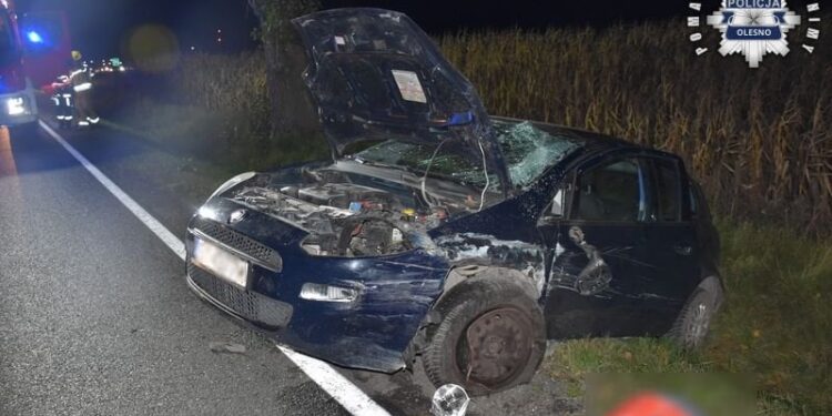 Był nietrzeźwy, stracił samochód, grozi mu deportacja