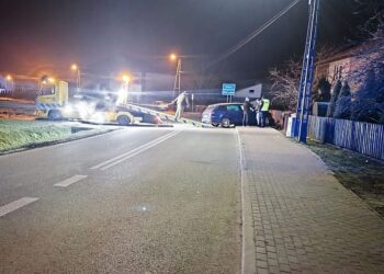 Z 3 promilami na płocie