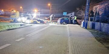 Z 3 promilami na płocie