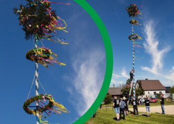 Maibaum – piękna tradycja, która łączy pokolenia