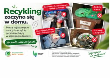 Recykling zaczyna się w domu. Poznaj najważniejsze zasady i najczęściej popełniane błędy w segregacji odpadów